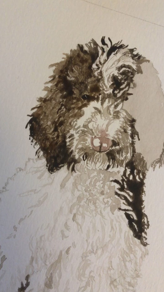 Pet Portrait